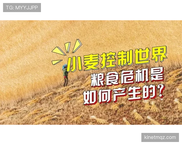 从争冠到分崩离析：山东泰山的战术危机背后，核心体系为何失衡？
